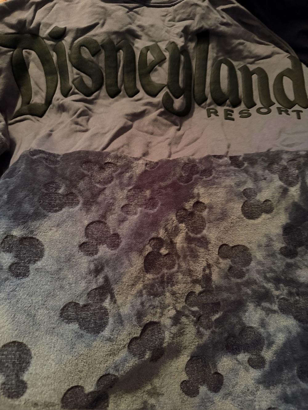 Disney Gray and Black Disneyland Resort Crewneck Sweater